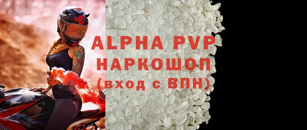 индика Алексин