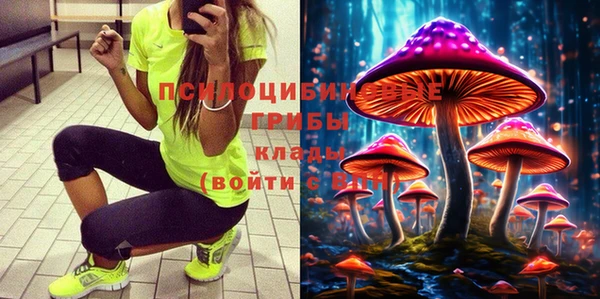 индика Алексин