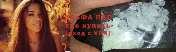 индика Алексин