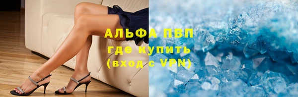 индика Алексин