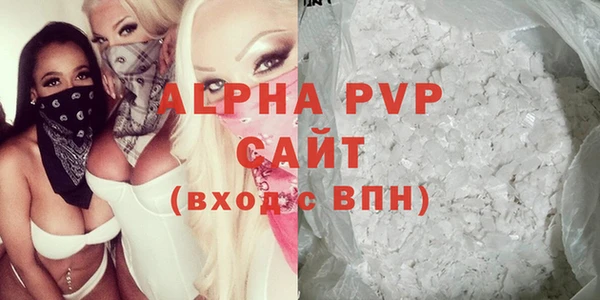 индика Алексин