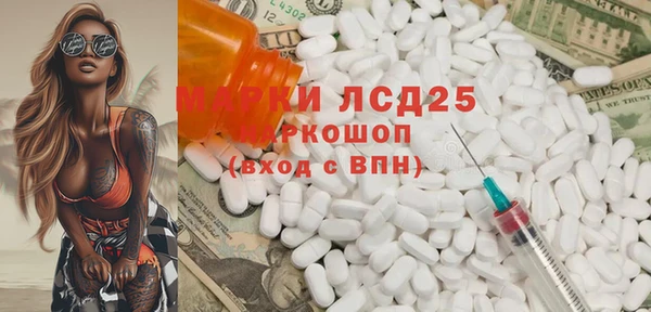индика Алексин